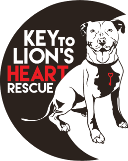 Key to Lion's Heart Logo